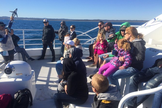 Hervey Bay Whale Watching Experience - What to Expect Onboard