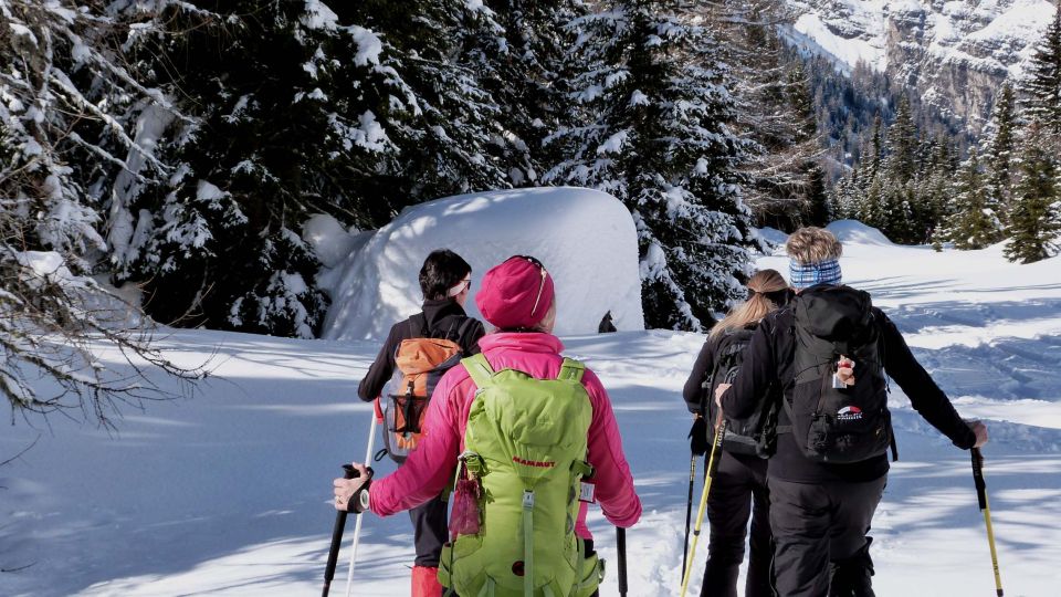 Innsbruck: Priv. Guided Snowy Mountain Hike /Snowshoes - Personalized Experience Details