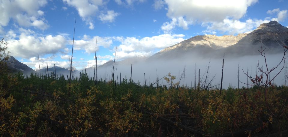 Kootenay National Park: Stanley Glacier Valley Tour - Experience Highlights