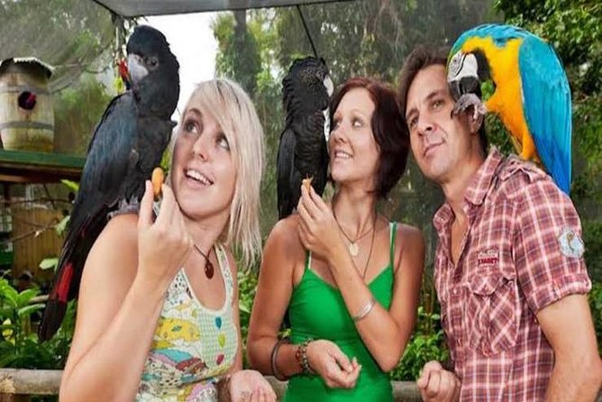 Kuranda Day Tour, TKS-3 Wildlife Gold 930 - Important Dates to Remember