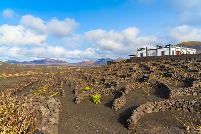 Lanzarote Volcano and Wine Region Tour From Fuerteventura - Inclusions and Amenities