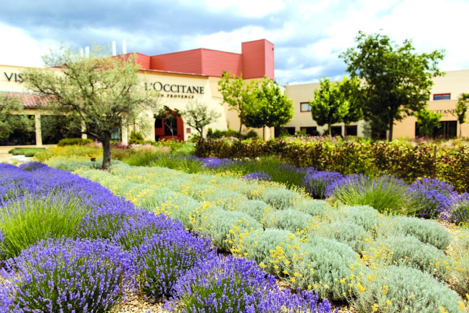 Manosque: Loccitane En Provence Guided Factory Tour - Explore the Factory Facilities