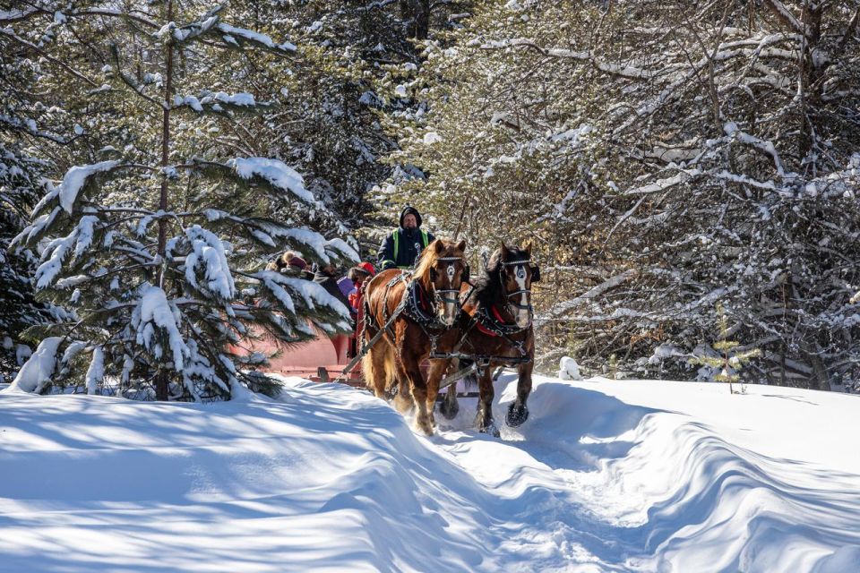 Mont-Tremblant: Sleigh Ride W/ Storytelling & Hot Chocolate - Booking Information