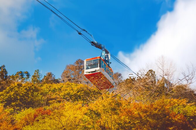 Mt. Naejang Sightseeing Trip From Seoul - What to Expect on Tour