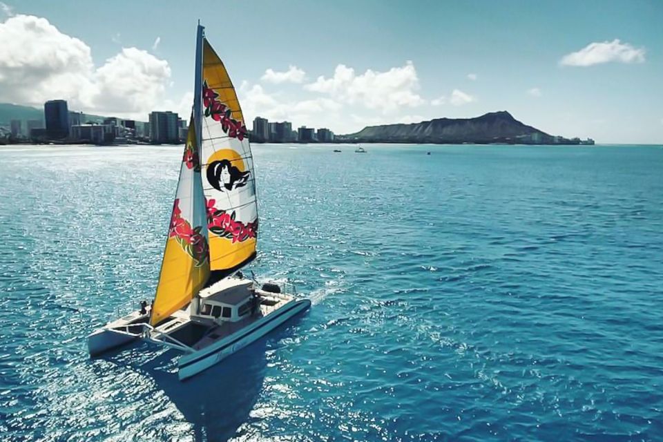 Oahu: Waikiki Eco-Friendly Morning Whale Watching Cruise - Inclusions and Meeting Point