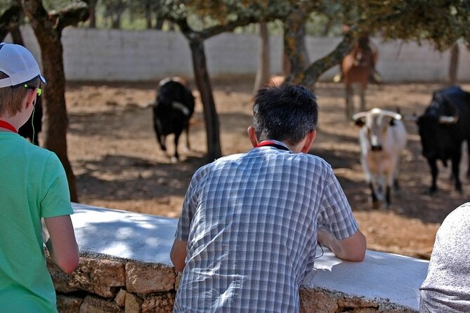 Ronda Reservatauro Guided Tour - Inclusions and Exclusions