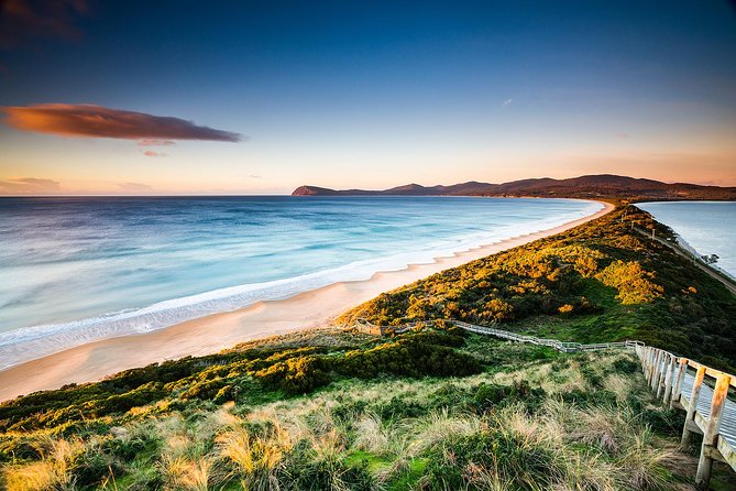 SHORE EXCURSION - Full-Day Guided Bruny Island Tour From Hobart - Exploring Bruny Islands Wilderness