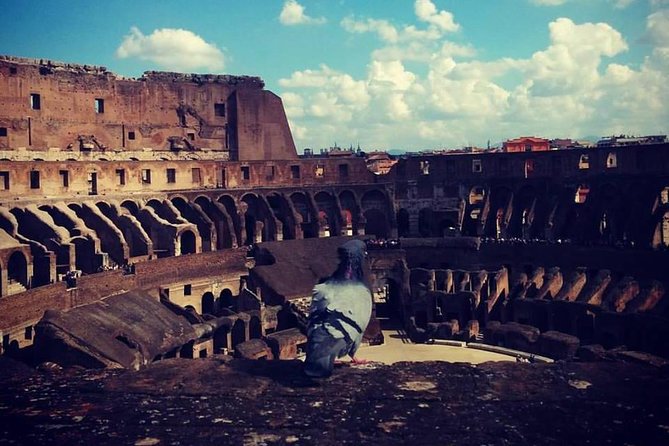 Skip the Line: Colosseum, Palatine Hill, and Roman Forum Private Tour - Booking Information