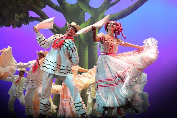 Small Group: Discover the Folkloric Ballet of Mexico - Inclusions