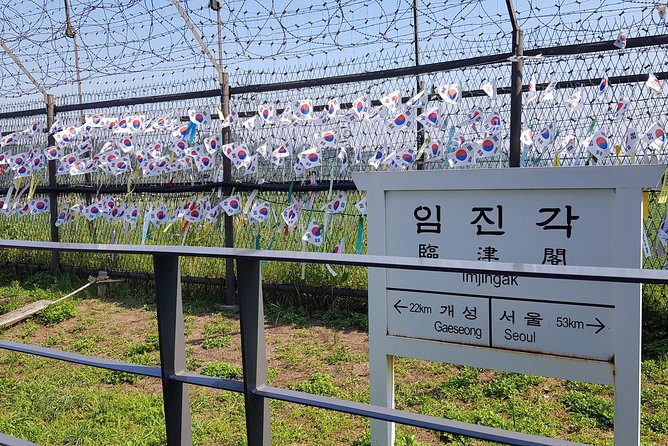 Special Korea DMZ Tour - What to Expect