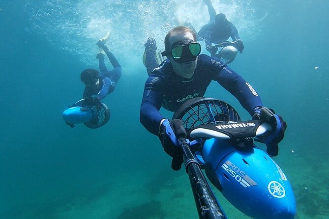 Sydney Underwater Scooter Tours - Preparing for the Adventure