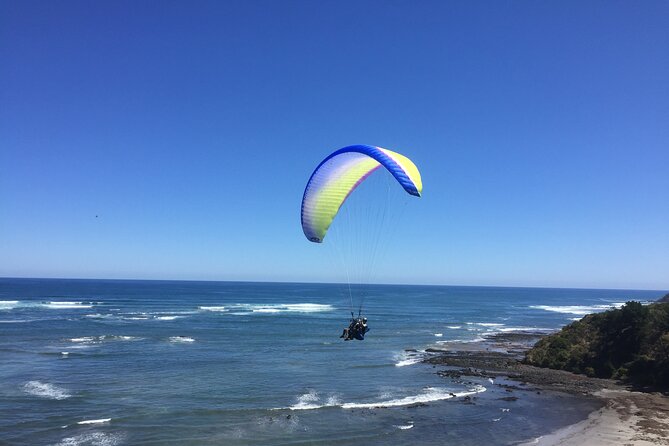 Tandem Paragliding Melbourne & Bells Beach - Meeting Point and Location