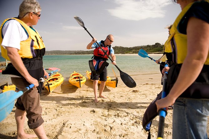 The Freycinet Paddle - Guided Kayaking Tour Experience