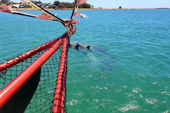 The Pirate Cruise in Mandurah on Viator - What to Expect Onboard