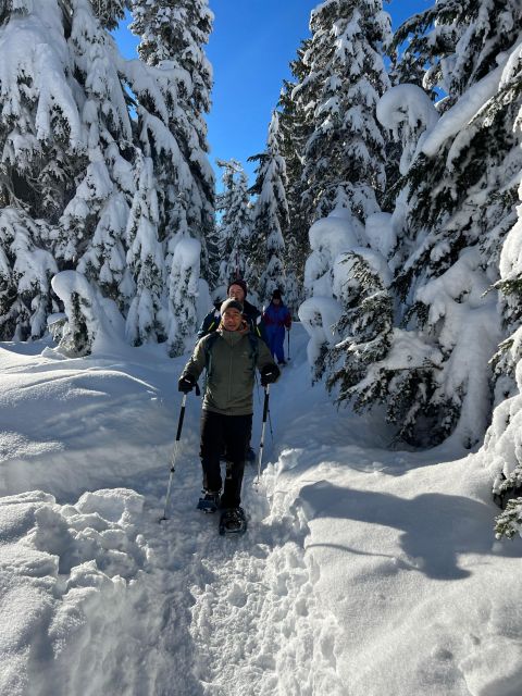 Vancouver: North Shore Mountains Snowshoeing With Transfer - Inclusions