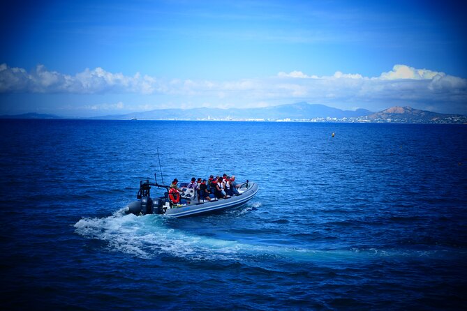 360 Boat Experience to Circumnavigate Magnetic Island - Key Points