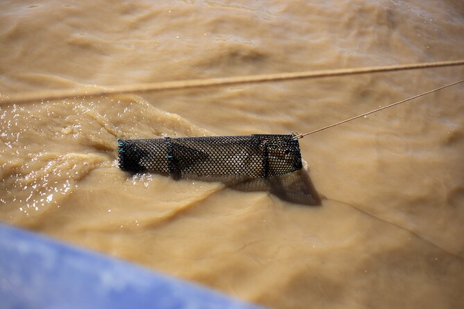 Accompany the Last Professional Fisherman of Bordeaux (On the Garonne) - Review and Rating Overview