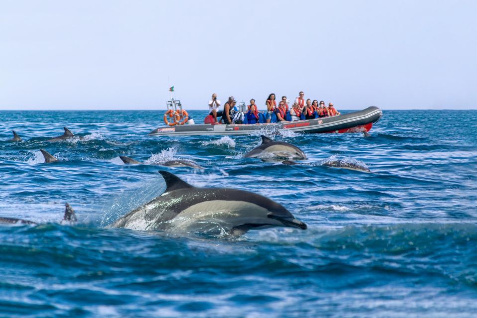 Albufeira: 2.5-Hour Private Dolphin & Benagil Caves Tour - Inclusions