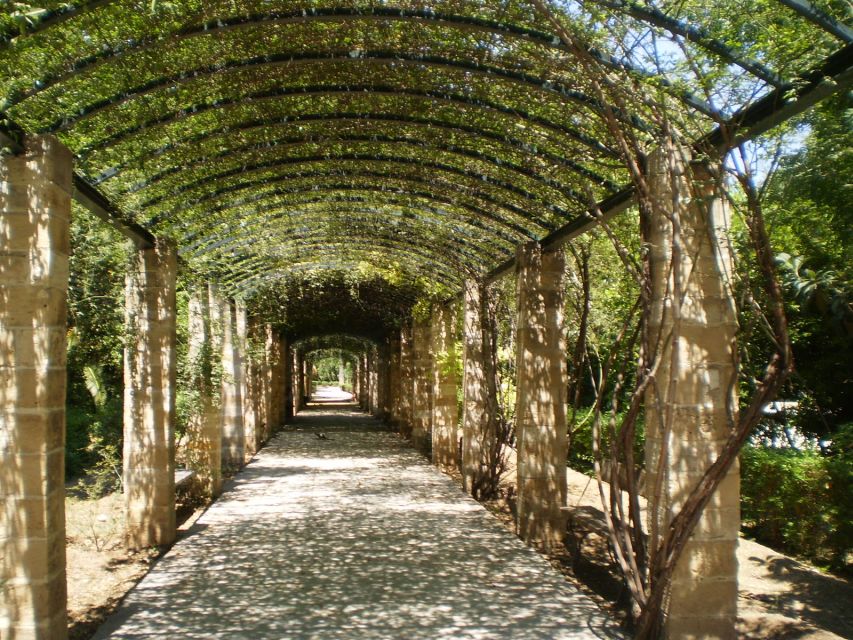 Athens: National Garden 2-Hour Segway Tour - Tour Features