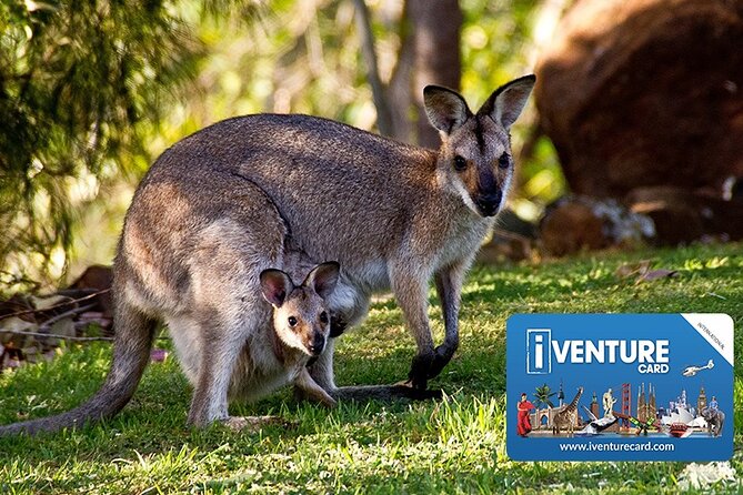 Australia Multi-City Attractions Pass - Planning and Redeeming the Pass