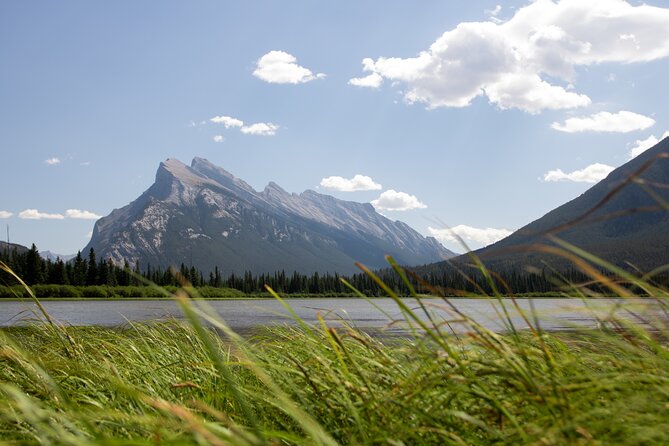 Banff Highlights & Wildlife Small Group Adventure - Customer Experiences