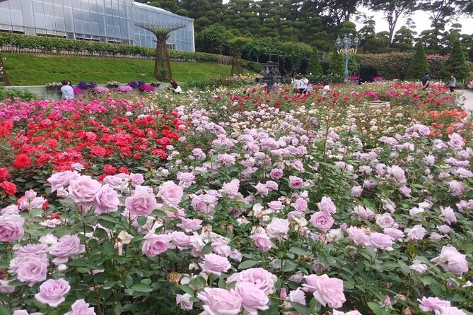 Beartree Park With Admission Ticket to Arboretum in Sejong - Cancellation and Refund Policy