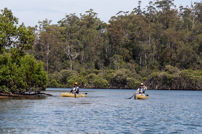 Bermagui River Kayak Tour - Meeting and Pickup Details