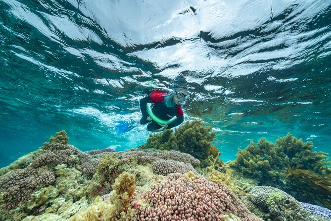 Busselton Jetty and Underwater Sculptures Snorkel Boat Tour - Meeting Point and Pickup Details