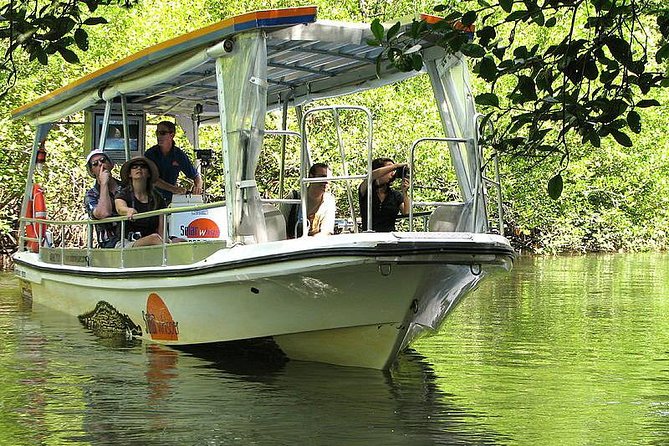 Cape Tribulation, Mossman Gorge and Daintree Rainforest Day Tour - Itinerary and Activity Schedule