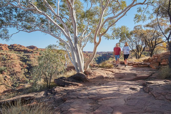 Coach Transfer From Kings Canyon to Alice Springs - On-Board Experience