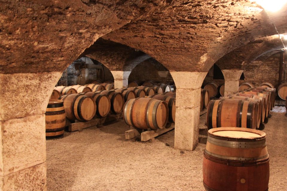 Côte De Beaune Private Local Wineries and Wine Tasting Tour - Experience Highlights