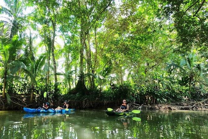 Damas Island Half-Day Kayak Tour by Nacarcosta  - Quepos - Memorable Experiences and Guides