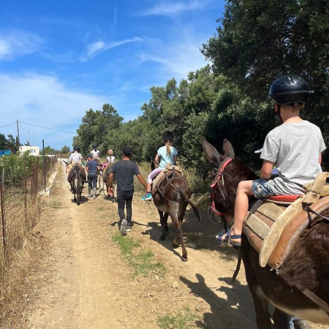 Donkey Ride - Cretan Country - Language Options