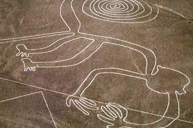 Exclusive Flight to Nazca Lines From Pisco & Huacachina Oasis - Challenges and Feedback