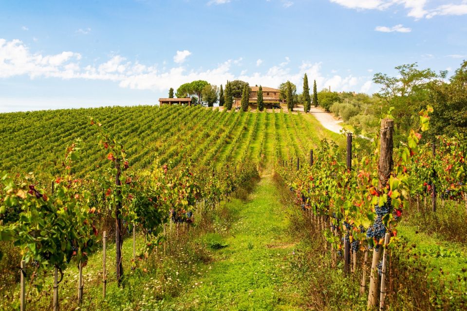 Florence: Private Full Day Tour to Chianti Wine Region - Tour Description