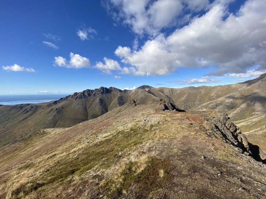 From Anchorage: Chugach State Park Guided Alpine Trek - Meeting Point and Transfer