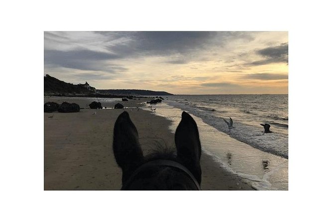 Gallop on Deauville Beach - Logistics