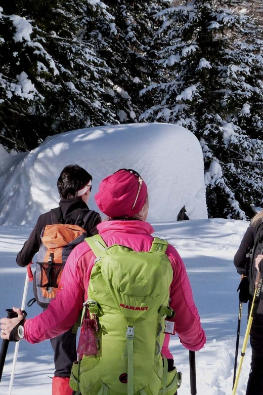 Innsbruck: Priv. Guided Snowy Mountain Hike /Snowshoes - Data Management and Privacy Measures