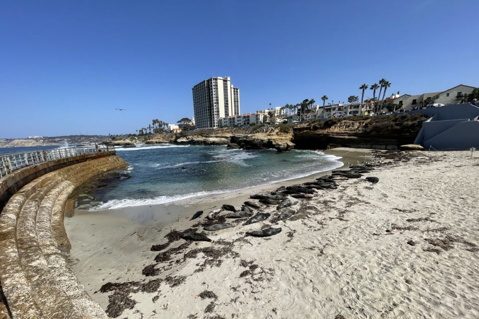 La Jolla: 2-Hour Guided Segway Tour - Segway Tour Highlights