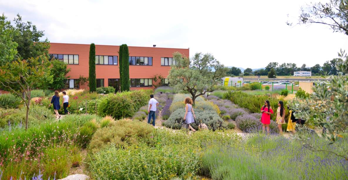 Manosque: Loccitane En Provence Guided Factory Tour - What to Expect on the Tour