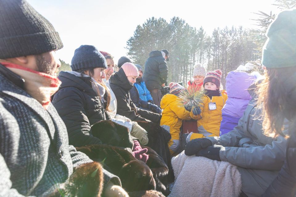 Mont-Tremblant: Sleigh Ride W/ Storytelling & Hot Chocolate - Customer Reviews