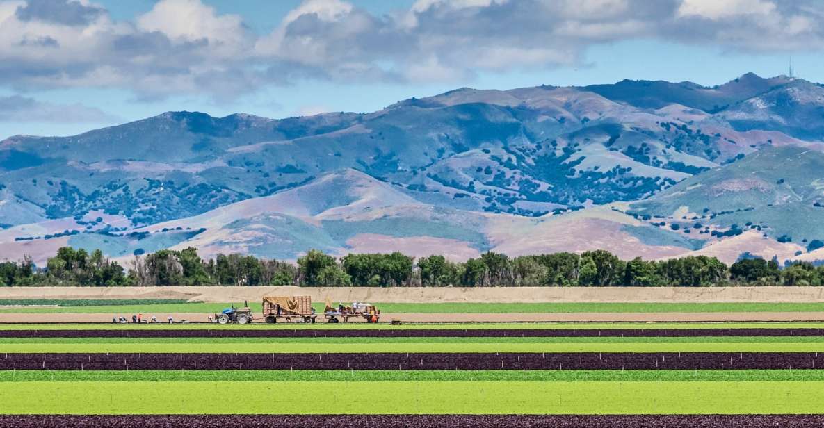 Monterey County Salinas Valley Farm Tour - Important Information