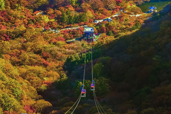 Mt. Naejang Sightseeing Trip From Seoul - Cancellation and Refund Policy