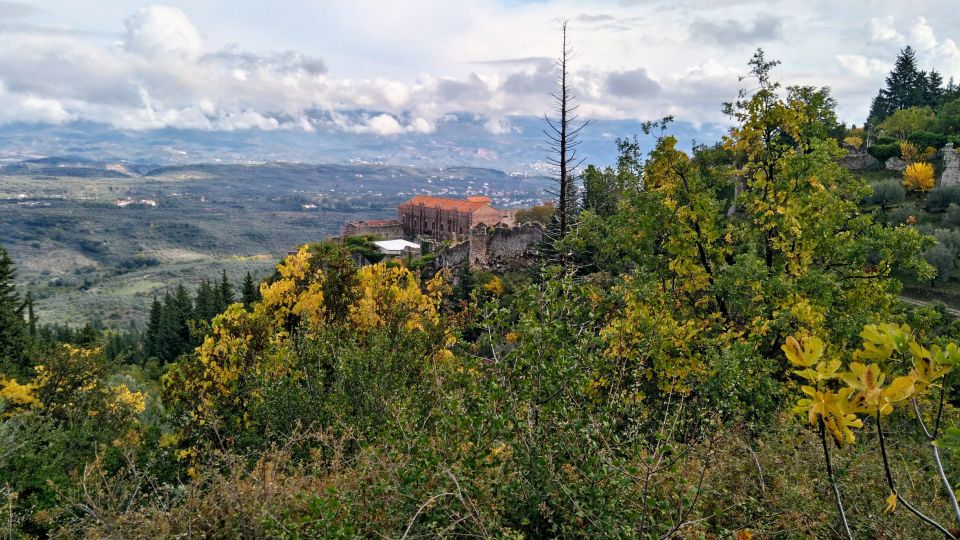 Mystras Castle Town, Sparta, Olive Museum Private Day Tour - Inclusions