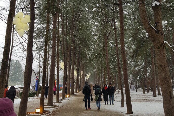 Nami Island + Ski Tour - Essential Tour Information