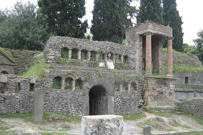 Naples Shore Excursion: Pompeii Half Day Trip From Naples - Guide Expertise