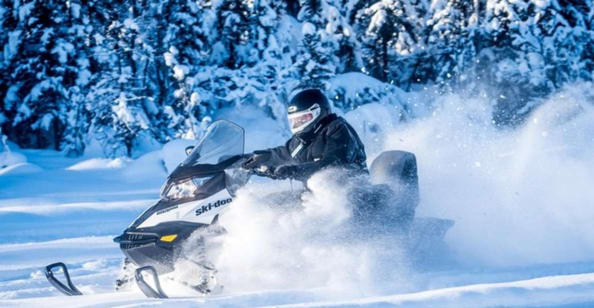 North Pole Alaska: Guided Fairbanks Snowmobile Tour - Tour Highlights