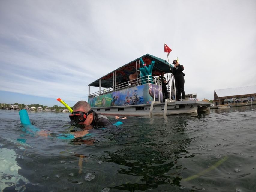 Orlando: Swim With Manatees and Homosassa State Park Visit - Full Description