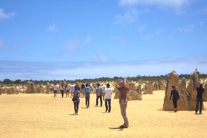 Pinnacles & Rottnest Island Scenic Air & Ground Tour - Scenic Aerial Views