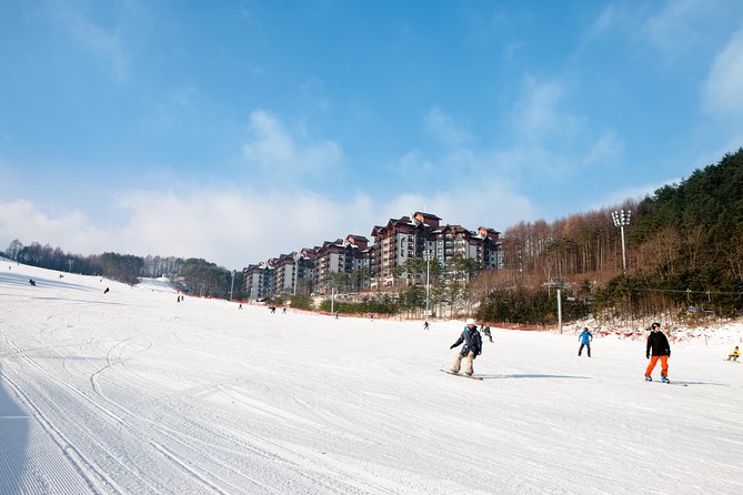 [Premium Private Ski Tour] Pyeongchang Olympic Site (Private Ski Lesson) - What to Expect Onsite